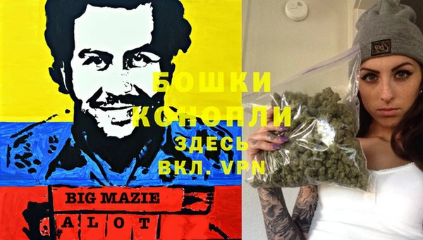 индика Белоозёрский