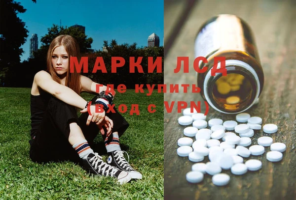индика Белоозёрский