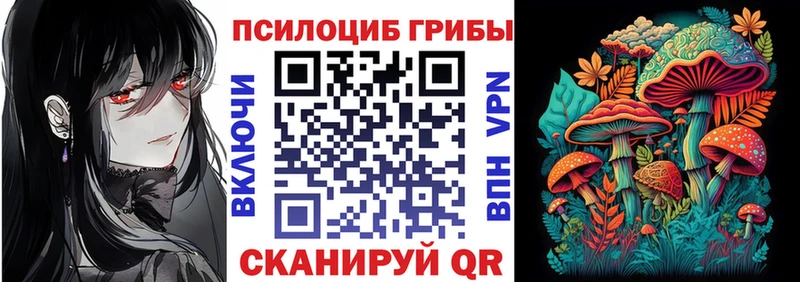 Галлюциногенные грибы прущие грибы  Городец 