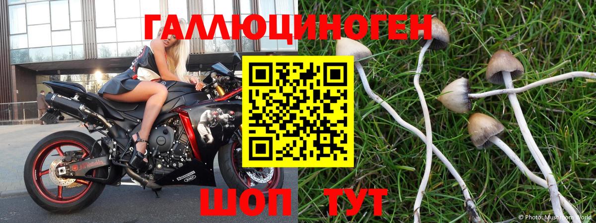 Псилоцибиновые грибы прущие грибы Городец