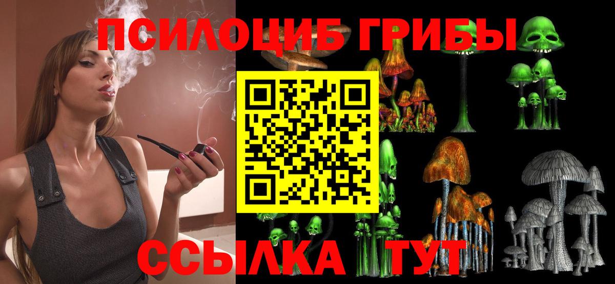 Городец  Псилоцибиновые грибы Psilocybine cubensis  Вход с VPN  Галлюциногенные грибы прущие грибы 