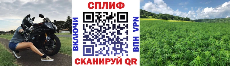Бошки Шишки Amnesia  Городец 